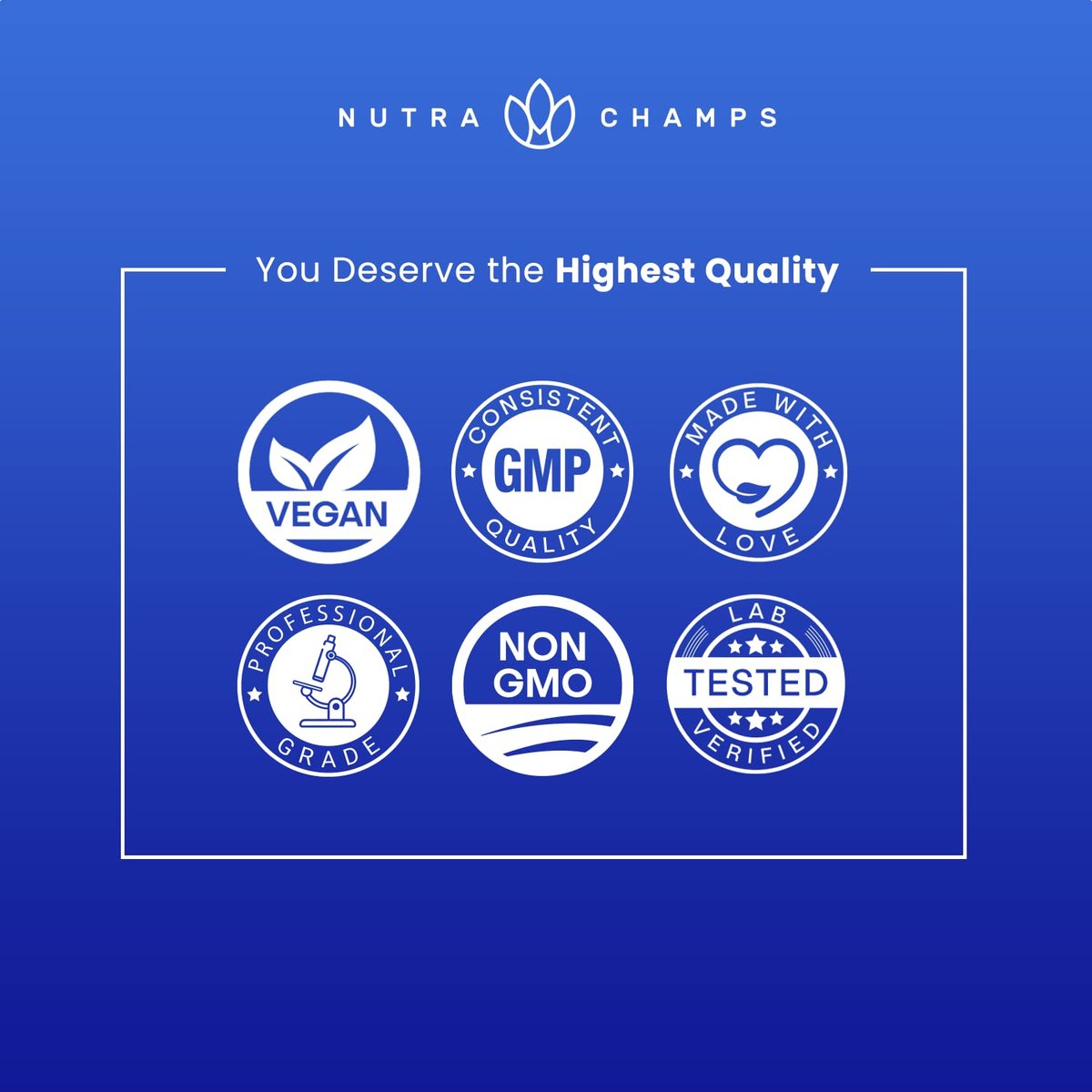 NutraChamps Calm Gummies – Stressgummis mit Ashwagandha, L-Theanin, GABA, Vitamin B6 & Zitronenmelisse – Unterstützt Stimmung, Fokus & Stressabbau – Natürliche Beere, 90 Gummis