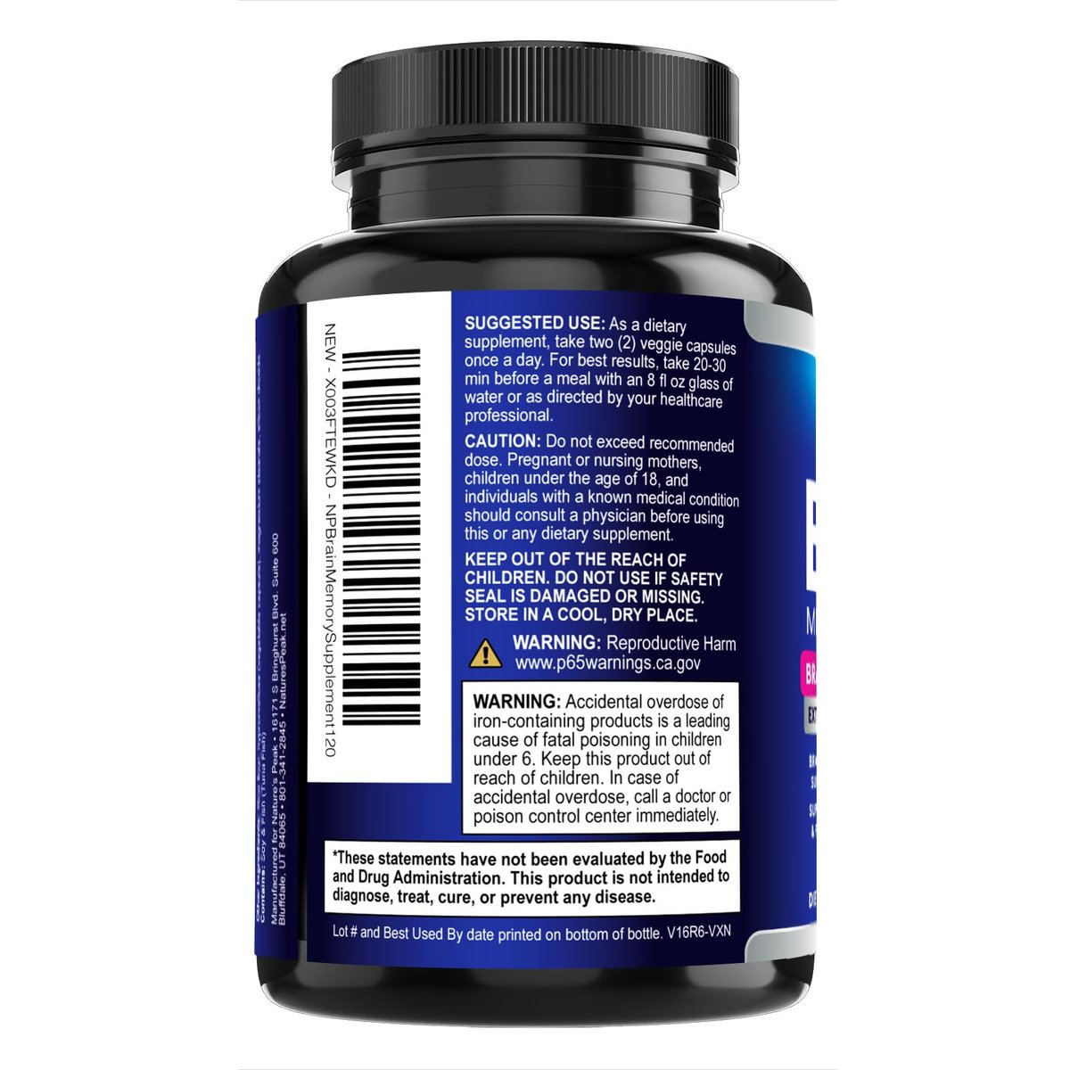 3X Gehirn-Nahrungsergänzungsmittel - Nootropika für Konzentration, Klarheit & Fokus - Gedächtnispillen mit Bacopa, Phosphatidylserin & DMAE - Gehirn-Booster, 120 Kapseln