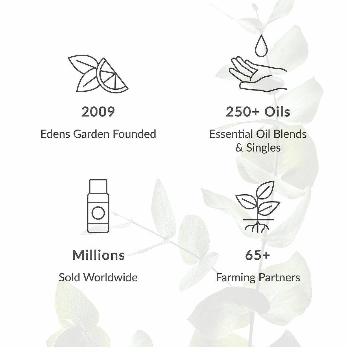 Edens Garden Kopfschmerz & Migräne Hilfe ätherisches Öl Blend – 100% reine Premiumqualität, unverdünnt, natürlich, therapeutisch, Aromatherapie, am besten für Diffuser, Haut, Luftbefeuchter, Gesicht 10 ml (0,33 fl oz)