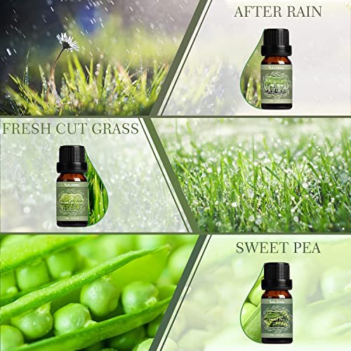 SALKING Frühlingsduft-Öle Set – Premium Bio-Öle für Diffuser, Seifen- & Kerzenherstellung – Nach Regen, Frisch gemähtes Gras, Duftwicke, Rosen-Geranie, Kirschblüte, Gardenie