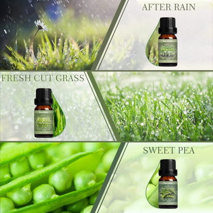 SALKING Frühlingsduft-Öle Set – Premium Bio-Öle für Diffuser, Seifen- & Kerzenherstellung – Nach Regen, Frisch gemähtes Gras, Duftwicke, Rosen-Geranie, Kirschblüte, Gardenie