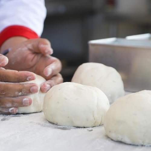 Orgnisulmte Eiklar-Proteinpulver 227 g – pasteurisiert, geschmacksneutral, glutenfrei, nicht gentechnisch verändert, aus Freilandhaltung – ideal zum Backen und für Desserts