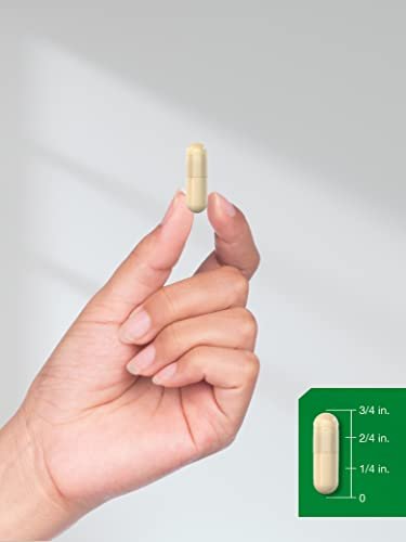 Horbäach Ceylon-Zimt Kapseln | 150 Stück | Vegetarisch, Non-GMO, Glutenfrei
