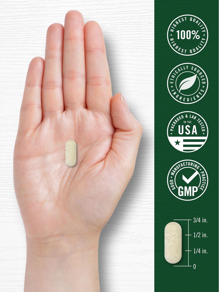 Carlyle Antioxidantien Komplex | 100 Kapseln | Nährstoffkomplex mit Vitamin A, C, E | Non-GMO, glutenfrei