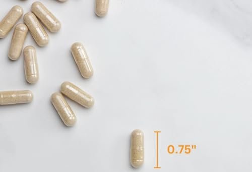 Member's Mark 100% Natürliche Flohsamenschalen-Faser Kapseln, Verdauungsgesundheit, 400 Stück (Packung mit 1)