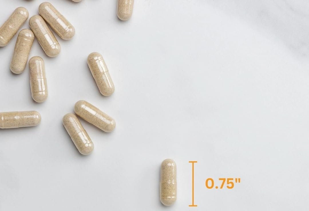 Member's Mark 100% Natürliche Flohsamenschalen-Faser Kapseln, Verdauungsgesundheit, 400 Stück (Packung mit 1)