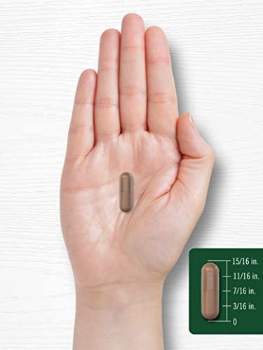 Carlyle Rotschimmelreis Komplex | 1220 mg | 120 Kapseln | mit Policosanol | Non-GMO & glutenfrei