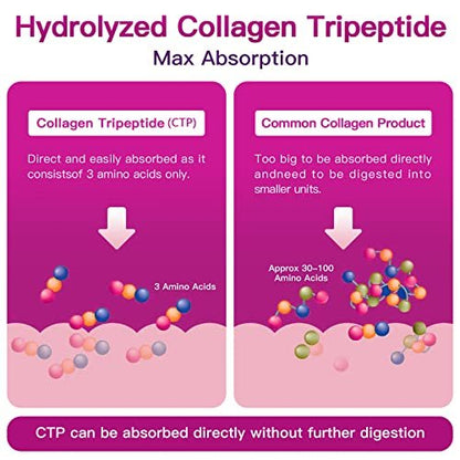 ZEBORA Multi-Collagen-Peptide-Pulver – Hydrolysiertes Kollagen Typ I, II, III, V, X mit Hyaluronsäure, Biotin, Vitamin C – Unterstützt Haut, Haare, Nägel, Gelenke – Ohne Geschmack, Keto-freundlich, 35 Portionen