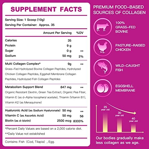ZEBORA Multi-Collagen-Peptide-Pulver – Hydrolysiertes Kollagen Typ I, II, III, V, X mit Hyaluronsäure, Biotin, Vitamin C – Unterstützt Haut, Haare, Nägel, Gelenke – Ohne Geschmack, Keto-freundlich, 35 Portionen