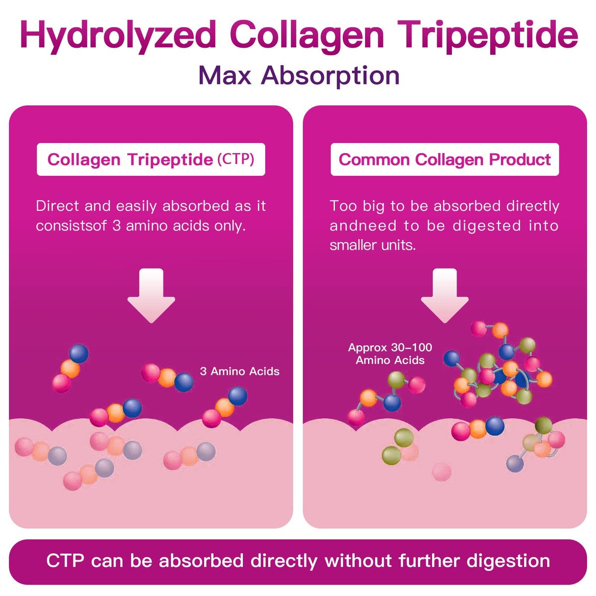 ZEBORA Multi-Collagen-Peptide-Pulver – Hydrolysiertes Kollagen Typ I, II, III, V, X mit Hyaluronsäure, Biotin, Vitamin C – Unterstützt Haut, Haare, Nägel, Gelenke – Ohne Geschmack, Keto-freundlich, 35 Portionen