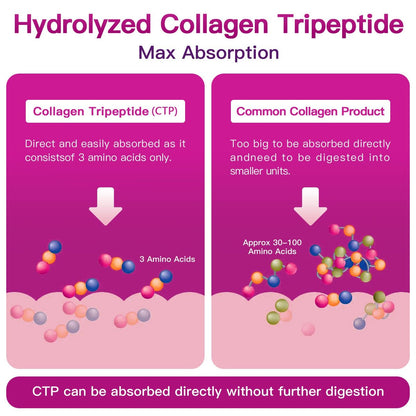 ZEBORA Multi-Collagen-Peptide-Pulver – Hydrolysiertes Kollagen Typ I, II, III, V, X mit Hyaluronsäure, Biotin, Vitamin C – Unterstützt Haut, Haare, Nägel, Gelenke – Ohne Geschmack, Keto-freundlich, 35 Portionen