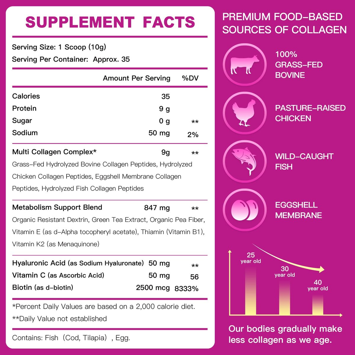 ZEBORA Multi-Collagen-Peptide-Pulver – Hydrolysiertes Kollagen Typ I, II, III, V, X mit Hyaluronsäure, Biotin, Vitamin C – Unterstützt Haut, Haare, Nägel, Gelenke – Ohne Geschmack, Keto-freundlich, 35 Portionen