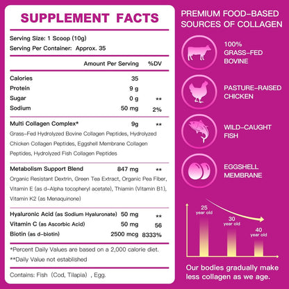 ZEBORA Multi-Collagen-Peptide-Pulver – Hydrolysiertes Kollagen Typ I, II, III, V, X mit Hyaluronsäure, Biotin, Vitamin C – Unterstützt Haut, Haare, Nägel, Gelenke – Ohne Geschmack, Keto-freundlich, 35 Portionen