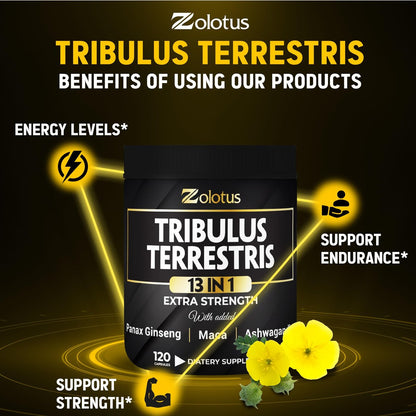 Zolotus 13-in-1 Tribulus Terrestris Kapseln mit Maca, Bockshornklee, Panax Ginseng, Sägepalme, Tongkat Ali, Shilajit & mehr – Energie- und Ausdauerergänzung für Männer und Frauen – 120 Kapseln