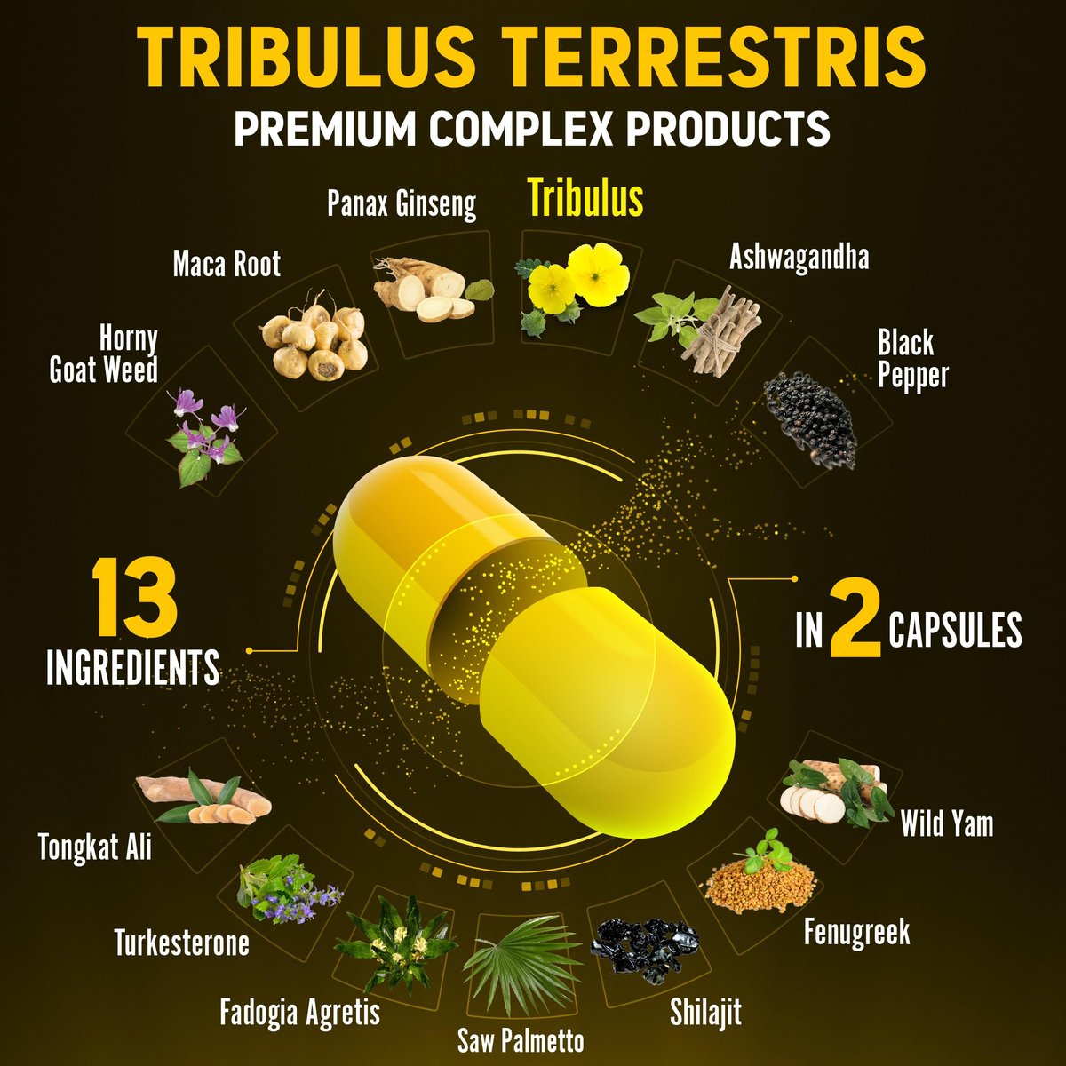 Zolotus 13-in-1 Tribulus Terrestris Kapseln mit Maca, Bockshornklee, Panax Ginseng, Sägepalme, Tongkat Ali, Shilajit & mehr – Energie- und Ausdauerergänzung für Männer und Frauen – 120 Kapseln