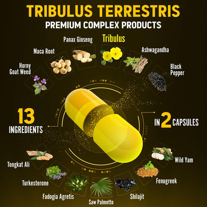 Zolotus 13-in-1 Tribulus Terrestris Kapseln mit Maca, Bockshornklee, Panax Ginseng, Sägepalme, Tongkat Ali, Shilajit & mehr – Energie- und Ausdauerergänzung für Männer und Frauen – 120 Kapseln