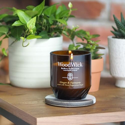 WoodWick Ginger & Turmeric Duftkerze 6 oz – Geschenkidee mit knisterndem Docht