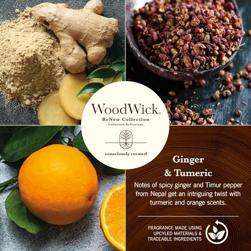 WoodWick Ginger & Turmeric Duftkerze 6 oz – Geschenkidee mit knisterndem Docht