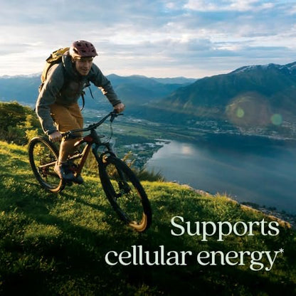 New Chapter® Bioaktive Vitamin B12+ Gummis – 47 % weniger Zucker§, USDA Bio, vegan, mit Cordyceps, zwei Gummis täglich für zelluläre Energieunterstützung, ohne Gentechnik, glutenfrei, Himbeergeschmack, 60 Stück
