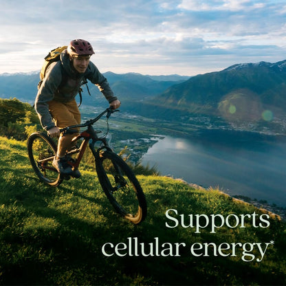 New Chapter® Bioaktive Vitamin B12+ Gummis – 47 % weniger Zucker§, USDA Bio, vegan, mit Cordyceps, zwei Gummis täglich für zelluläre Energieunterstützung, ohne Gentechnik, glutenfrei, Himbeergeschmack, 60 Stück