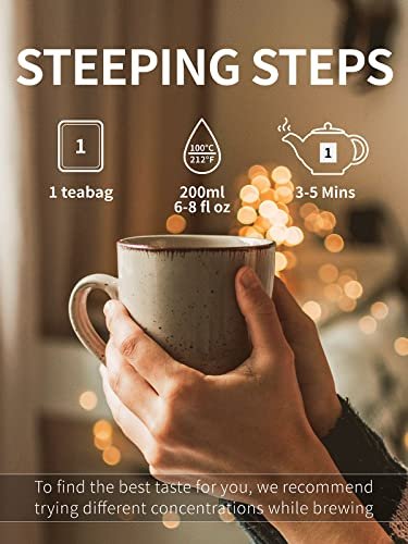 TeeLux Decaf Grüner Tee Beutel, reiner entkoffeinierter Grüner Tee, super Antioxidans, 100 Beutel für heißen & Eistee