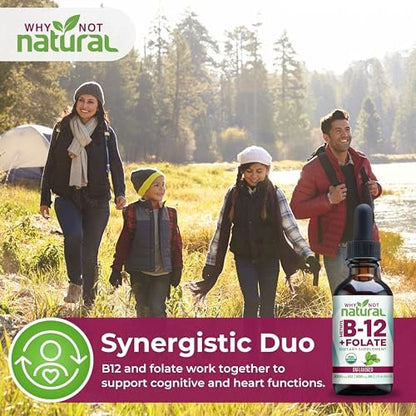 Why Not Natural Vitamin B12 Liquid Plus Folate - Organische sublinguale Extra-Stärke vegane Tropfen - Methyl-Ergänzung mit Folinsäure