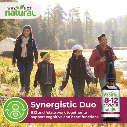 Why Not Natural Vitamin B12 Liquid Plus Folate - Organische sublinguale Extra-Stärke vegane Tropfen - Methyl-Ergänzung mit Folinsäure