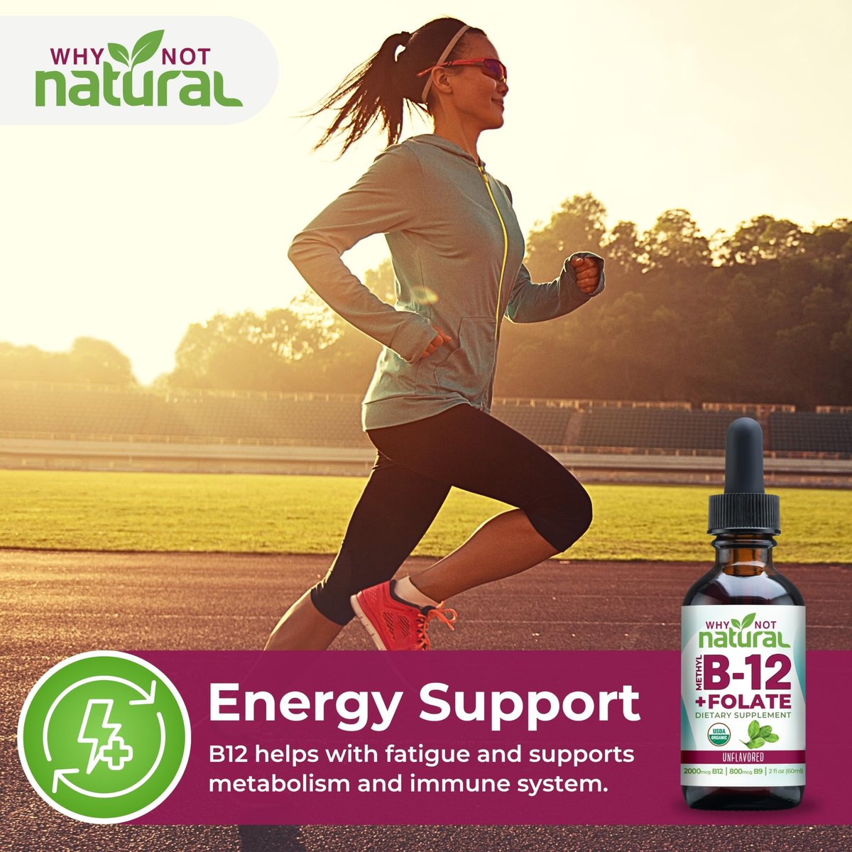 Why Not Natural Vitamin B12 Liquid Plus Folate - Organische sublinguale Extra-Stärke vegane Tropfen - Methyl-Ergänzung mit Folinsäure