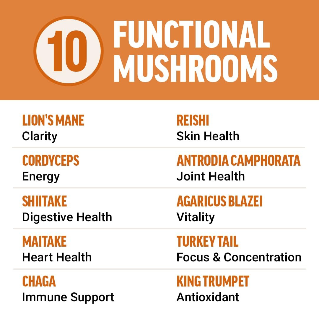 Force Factor Modern Mushrooms Kapseln – Pilz-Supplement mit Löwenmähne, Truthahnschwanz & Cordyceps für Energie, Fokus, Immunsystem & Verdauung, 90 pflanzliche Kapseln