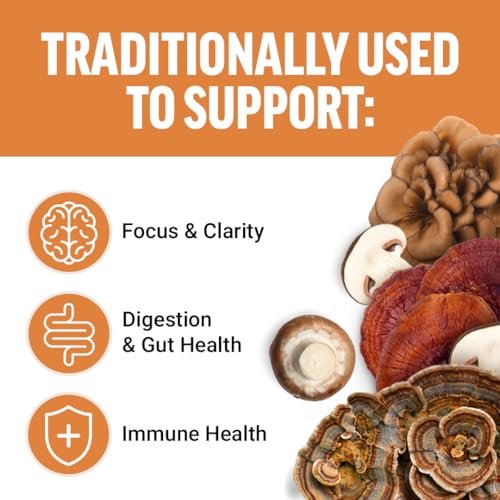 Force Factor Modern Mushrooms Soft Chews – Pilzergänzung mit Löwenmähne, Truthahnschwanz & Cordyceps für Energie, Fokus, Immunität & Verdauung – Zimtschnecken-Geschmack, 60 Soft Chews