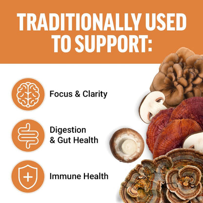 Force Factor Modern Mushrooms Soft Chews – Pilzergänzung mit Löwenmähne, Truthahnschwanz & Cordyceps für Energie, Fokus, Immunität & Verdauung – Zimtschnecken-Geschmack, 60 Soft Chews