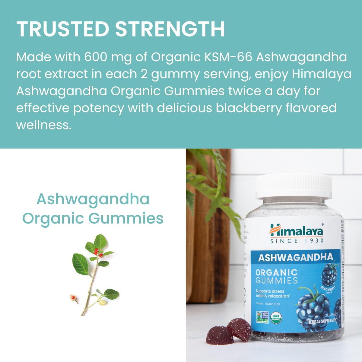 Himalaya Ashwagandha Bio-Gummis mit KSM-66, Stressabbau, Energie & Entspannung, 60 Gummis mit leckerem Brombeergeschmack