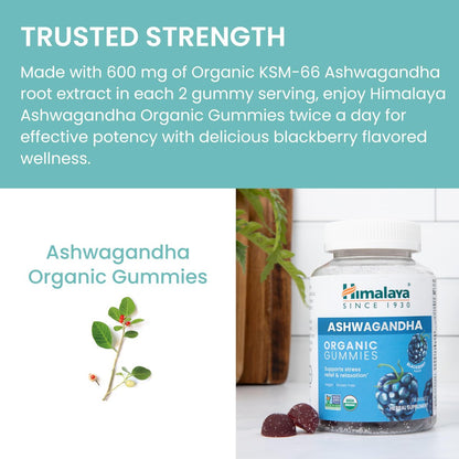 Himalaya Ashwagandha Bio-Gummis mit KSM-66, Stressabbau, Energie & Entspannung, 60 Gummis mit leckerem Brombeergeschmack