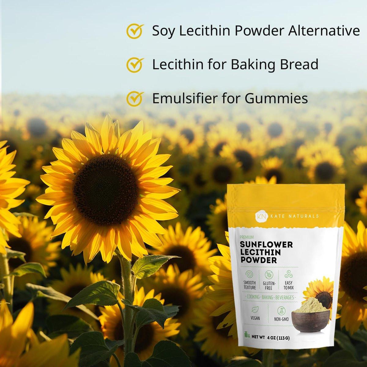 Kate Naturals Sonnenblumenlecithin Pulver – 113 g, Nicht-GVO, ideal zum Backen, für Gummibärchen und Kochen – Alternative zu Sojalecithin