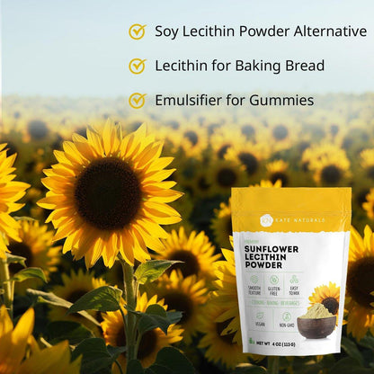 Kate Naturals Sonnenblumenlecithin Pulver – 113 g, Nicht-GVO, ideal zum Backen, für Gummibärchen und Kochen – Alternative zu Sojalecithin