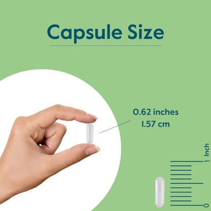 BESTVITE Vitamin K2 100 mcg als MK-7 mit patentiertem K2VITAL (120 vegane Kapseln) – ohne Stearate, vegan, nicht gentechnisch verändert, glutenfrei