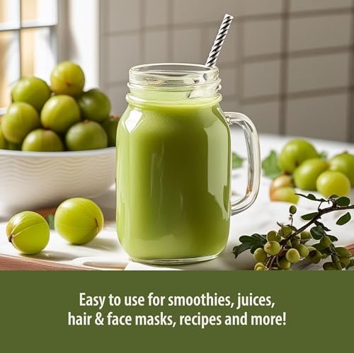 Organic Traditions Amla-Pulver – Bio Amla Pulver aus indischer Stachelbeere, Vitamin-C-reiches Superfood für Smoothies, Säfte und Rezepte, 454 g (1 lb) Beutel