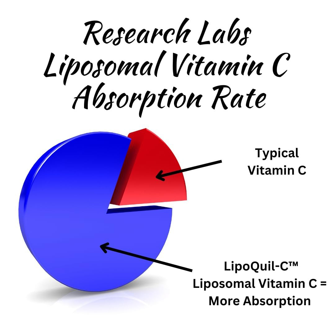 Research Labs Liposomales Vitamin C Supplement mit verbesserter Absorption LipoQuil-C™ | 2 für 1 – 240 Kapseln insgesamt Immununterstützung Kollagen-Booster | Hochdosiertes fettlösliches Vita C 1000 mg gepuffert | Non GMO