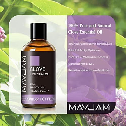 MAYJAM Nelkenöl, 30 ml reines ätherisches Öl für Aromatherapie-Diffuser, ideal für DIY-Kerzen- und Seifenherstellung
