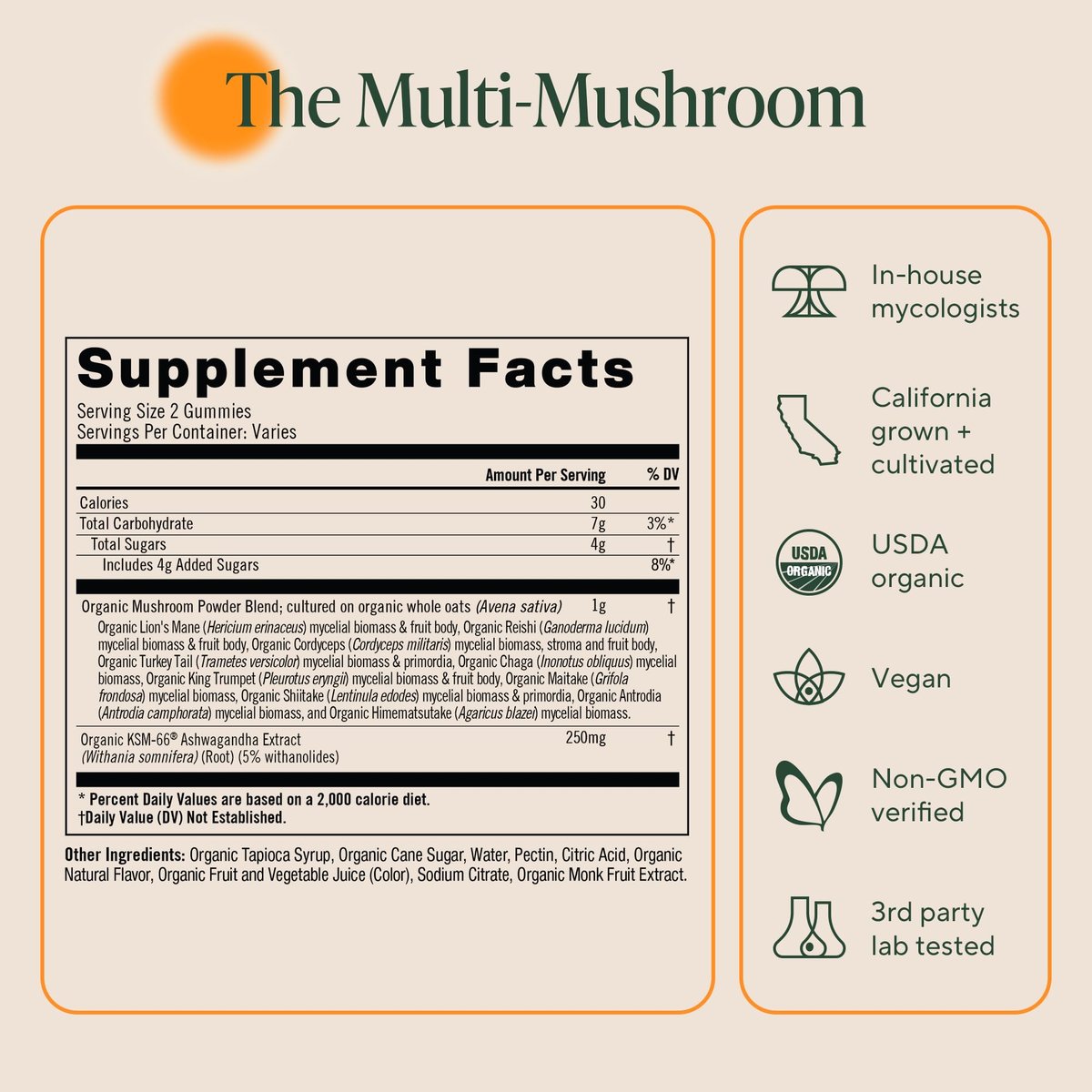 OM MUSHROOM SUPERFOOD Master Blend Pilz-Gummibärchen – Bio-10-Pilzkomplex mit Ashwagandha – Unterstützt Immunsystem, Darmgesundheit & Stressabbau – gemischter Beerengeschmack – 28 Portionen, 56 Stück