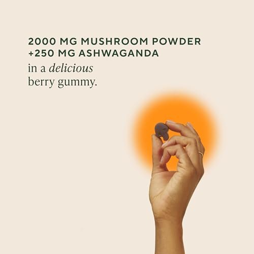 OM MUSHROOM SUPERFOOD Master Blend Pilz-Gummibärchen – Bio-10-Pilzkomplex mit Ashwagandha – Unterstützt Immunsystem, Darmgesundheit & Stressabbau – gemischter Beerengeschmack – 28 Portionen, 56 Stück