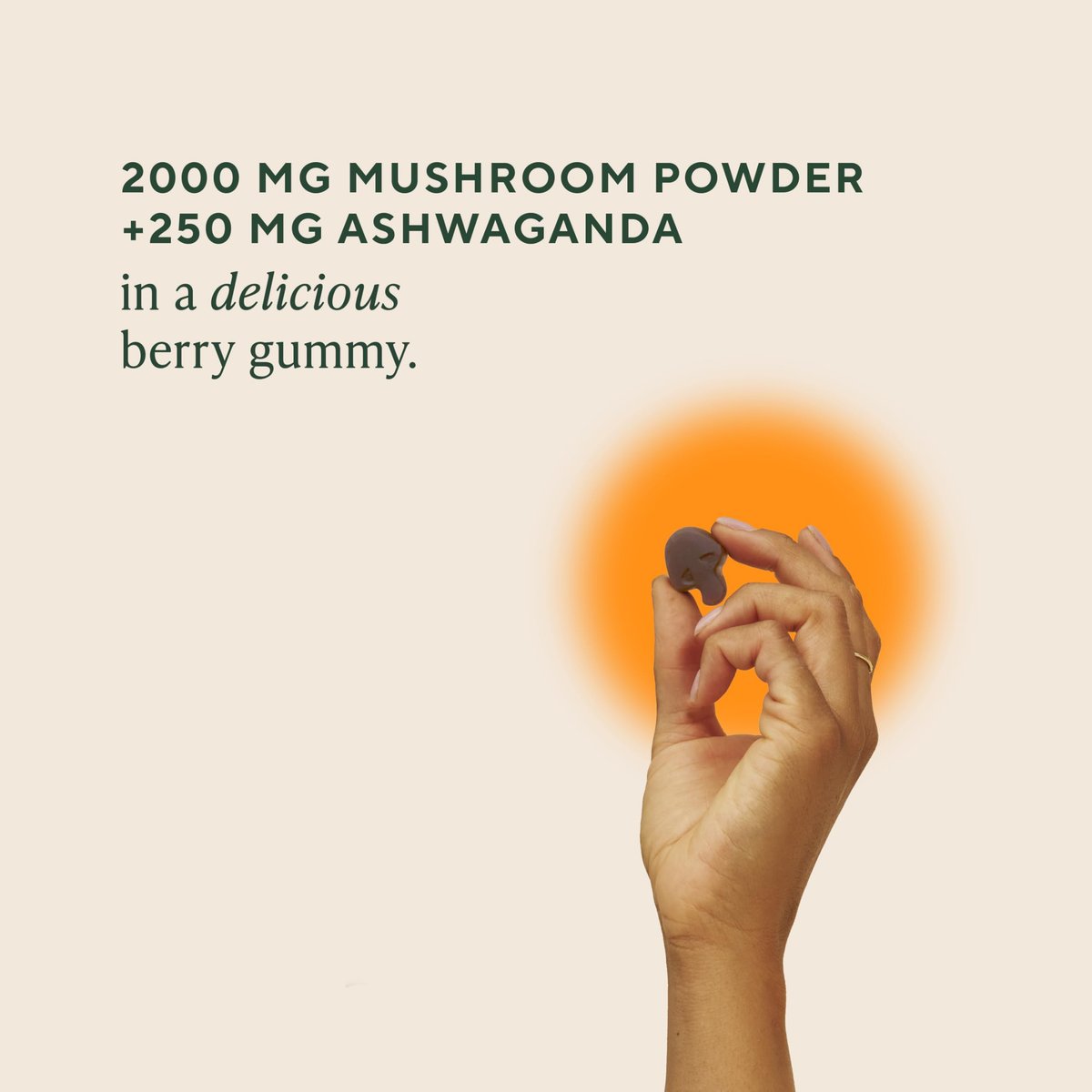 OM MUSHROOM SUPERFOOD Master Blend Pilz-Gummibärchen – Bio-10-Pilzkomplex mit Ashwagandha – Unterstützt Immunsystem, Darmgesundheit & Stressabbau – gemischter Beerengeschmack – 28 Portionen, 56 Stück