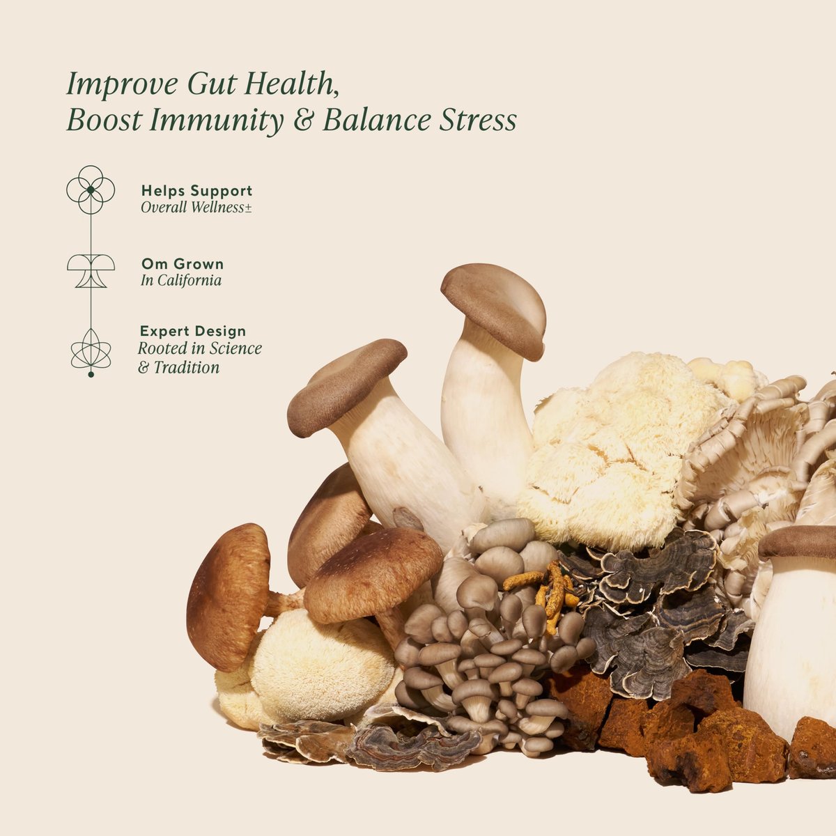 OM MUSHROOM SUPERFOOD Master Blend Pilz-Gummibärchen – Bio-10-Pilzkomplex mit Ashwagandha – Unterstützt Immunsystem, Darmgesundheit & Stressabbau – gemischter Beerengeschmack – 28 Portionen, 56 Stück