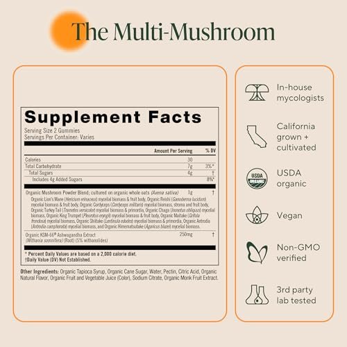 OM MUSHROOM SUPERFOOD Master Blend Pilz-Gummibärchen – Bio-10-Pilzkomplex mit Ashwagandha – Unterstützt Immunsystem, Darmgesundheit & Stressabbau – gemischter Beerengeschmack – 28 Portionen, 56 Stück