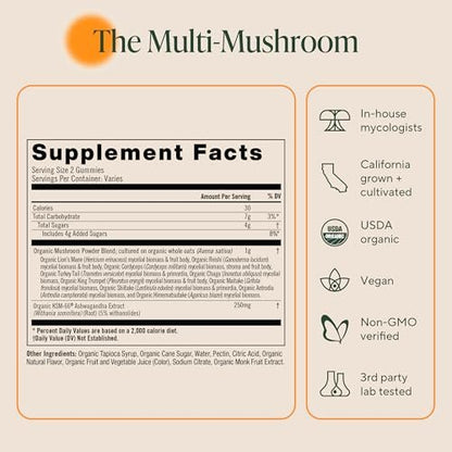 OM MUSHROOM SUPERFOOD Master Blend Pilz-Gummibärchen – Bio-10-Pilzkomplex mit Ashwagandha – Unterstützt Immunsystem, Darmgesundheit & Stressabbau – gemischter Beerengeschmack – 28 Portionen, 56 Stück