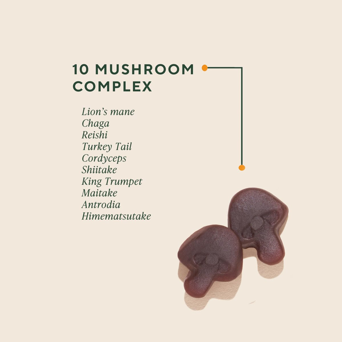OM MUSHROOM SUPERFOOD Master Blend Pilz-Gummibärchen – Bio-10-Pilzkomplex mit Ashwagandha – Unterstützt Immunsystem, Darmgesundheit & Stressabbau – gemischter Beerengeschmack – 28 Portionen, 56 Stück