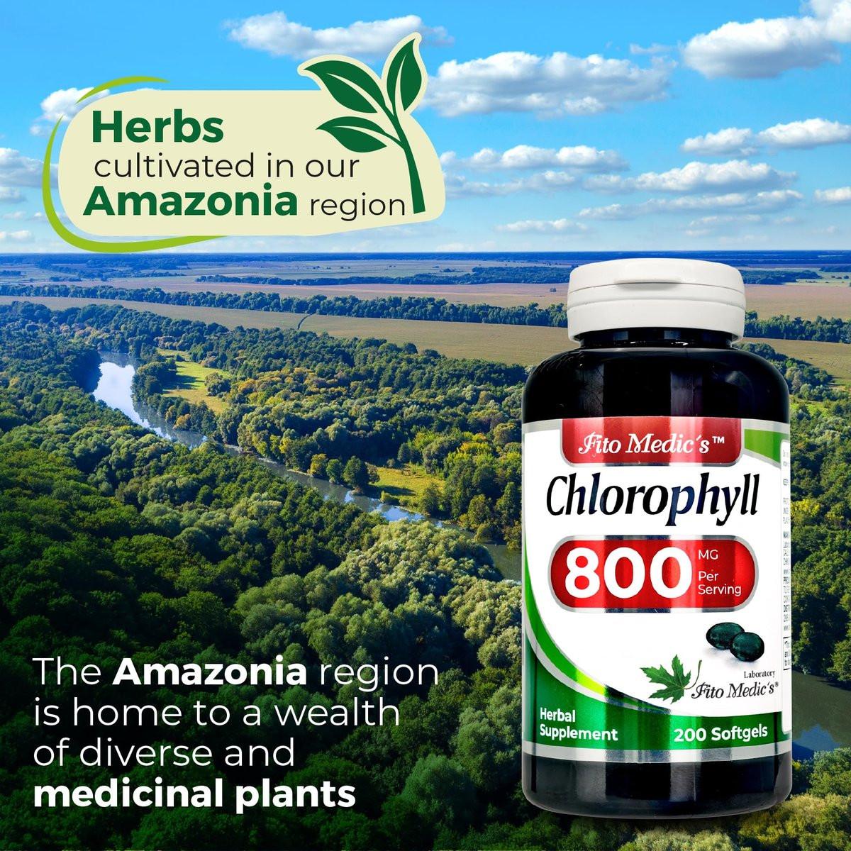 FITO MEDIC'S Lab Chlorophyll Supplement – 200 Kapseln, Chlorophyll-Kapseln