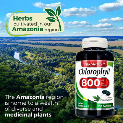 FITO MEDIC'S Lab Chlorophyll Supplement – 200 Kapseln, Chlorophyll-Kapseln