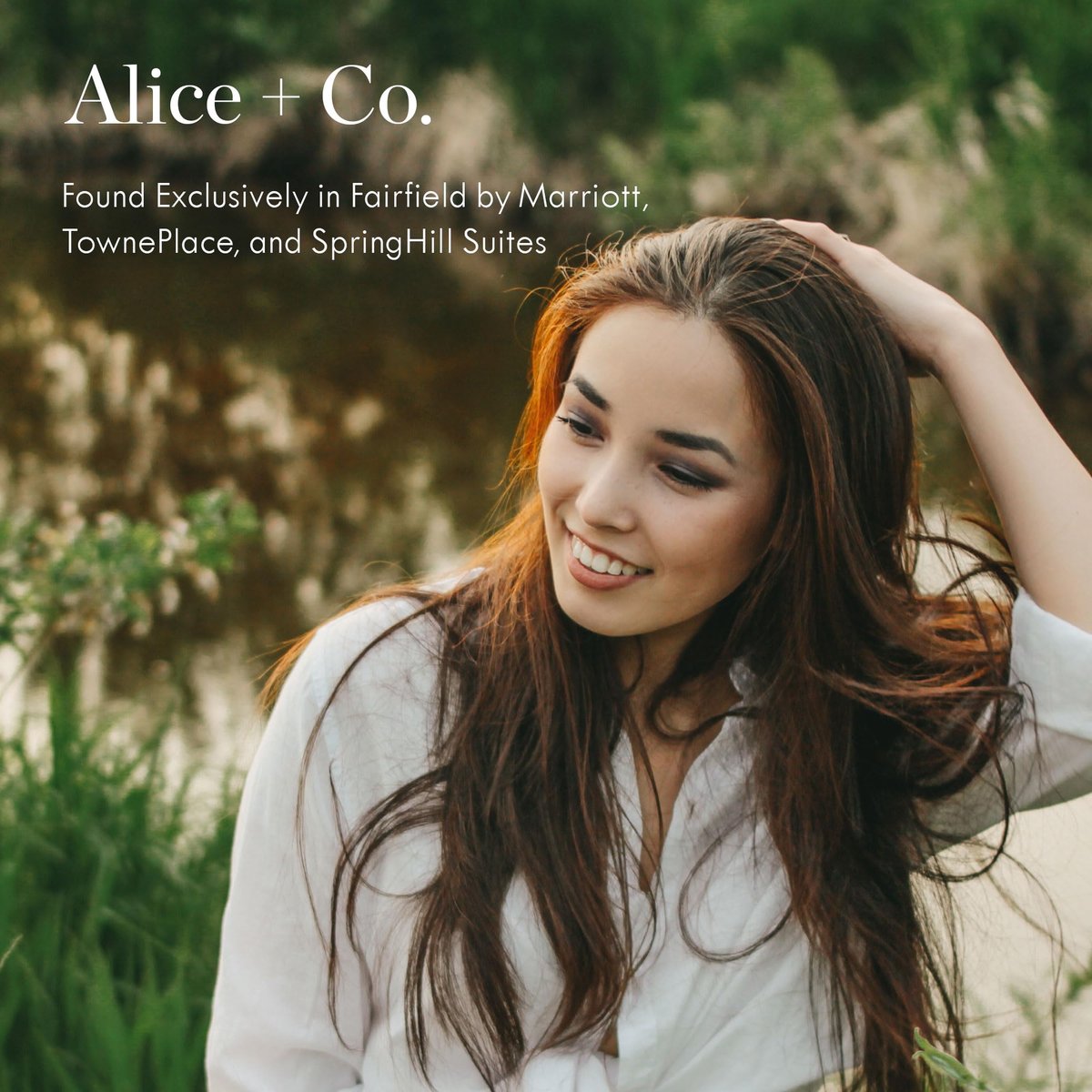 Alice + Co. Shampoo | Lavendel & Eukalyptus | Hotelpflege | Fairfield by Marriott | 8,5 Unzen