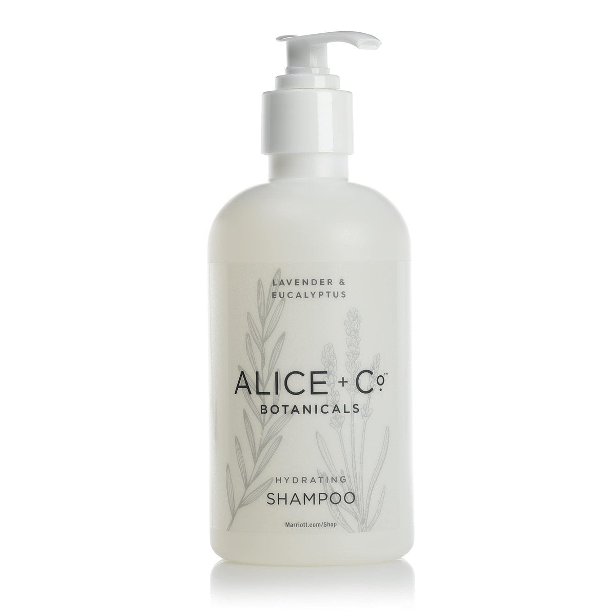 Alice + Co. Shampoo | Lavendel & Eukalyptus | Hotelpflege | Fairfield by Marriott | 8,5 Unzen